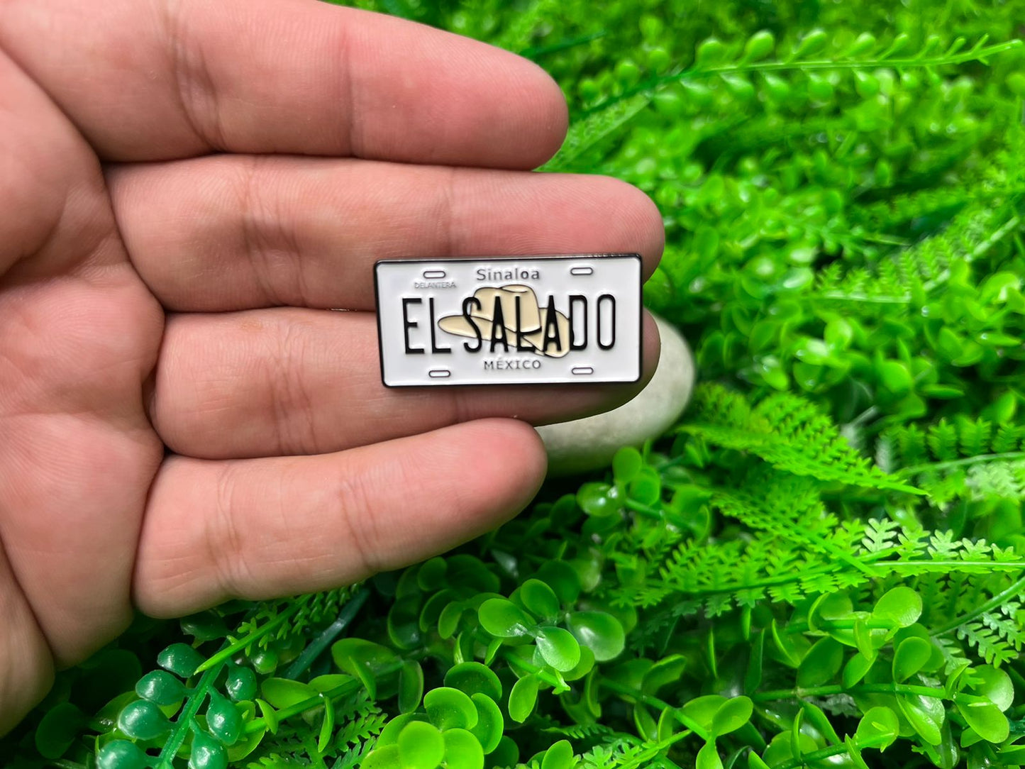 Pin Exclusivo Placa El Salado